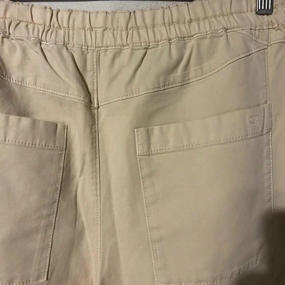 Anthropologie Izzie Relaxed Barrel Pants - Picture 8 of 8